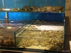 水产区-海味当家(西安路店)