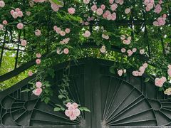 -常熟路(地铁站)