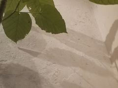-懒鱼时光馆(沙坪坝店)