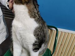 -北京金龙潭御瑞酒店(花园桥地铁站店)