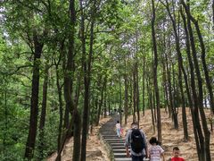 -火炉山森林公园