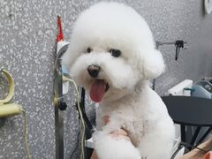 -宠物家(角门东店)