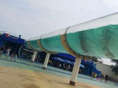 -秦皇岛乐岛海洋王国