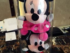 -常州环球恐龙城维景国际大酒店