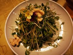 核桃豆苗-同和居(月坛店)