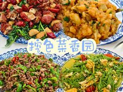 -挖色菜香园(大理店)