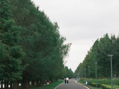 -苏州湾体育公园