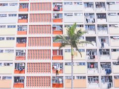 -彩虹村