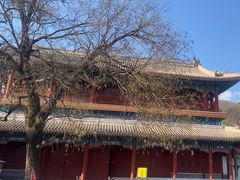 -潭柘寺景区