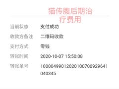 -拜鲁耶动物诊疗中心·宠家动物医院