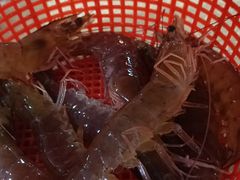 -濠轩阁特色生蚝火锅(水湾路店)
