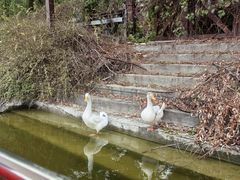 -西安汉城湖景区