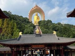 -庐山风景名胜区-东林大佛