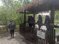 -溱湖国家湿地公园