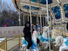 -沈阳奥体冰雪嘉年华