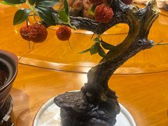 -唐猫庭院·千年陕菜(大唐不夜城店)