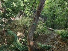 -北京上方山国家森林公园