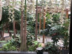 -金稼园·金平湖农家菜