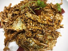 -紫光园(创始店)