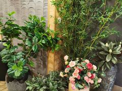 -唐沫茶兮(仓山万达金街店)