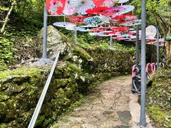 -黄山翡翠谷景区