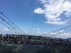 -梦幻奥陶纪景区