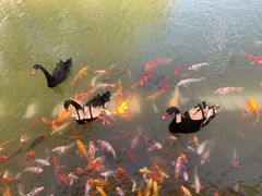 -泰安地下龙宫景区