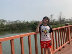-芒洲湿地公园