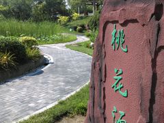 -武清南湖绿博园