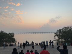 -宝安西湾红树林湿地公园