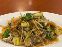 姜丝毛肚-老纪牛肉馆