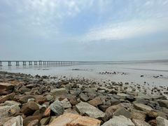 -宝安西湾红树林湿地公园