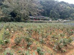 -韶关经律论国际酒店温泉