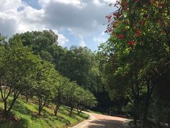 -玉树公园