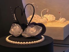 -BLACKSWAN黑天鹅(环球店)