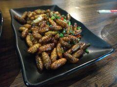 -土蚝·高压锅生蚝(百姓美食街店)