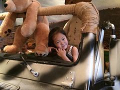 -济州岛泰迪熊博物馆