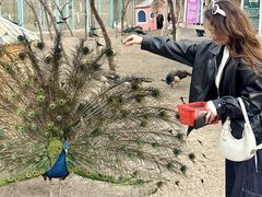 -水上乐园·欢乐世界