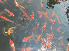 -香麒园·过桥米线·南湖雅宴