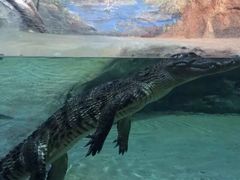 罗源湾海洋世界-福州罗源湾海洋世界旅游区