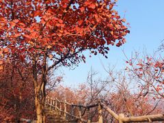 -周口店坡峰岭风景区