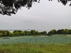 -上海市保健医疗中心