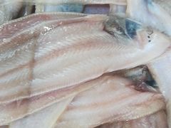 -宾朋海鲜特色美食餐厅·纯手工鲅鱼水饺(兴海路店)