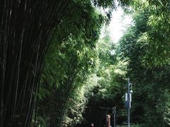 -望江楼公园