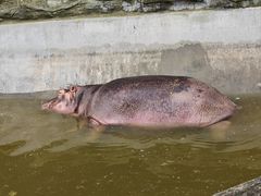 -昆明动物园