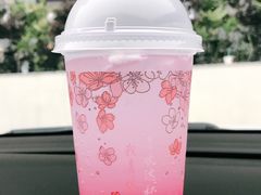 樱之语特饮-肯德基(大学路DT店)