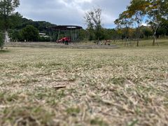 -牛岗山公园