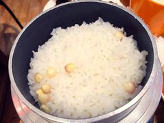 -刘一锅筋头巴脑(小北店)