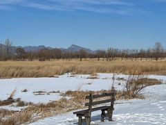 -野鸭湖国家湿地公园