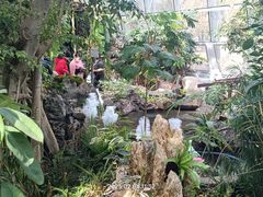 -国家植物园南园